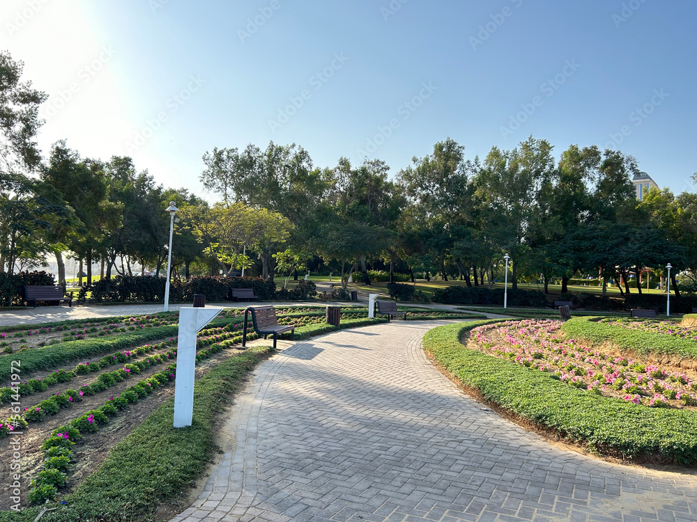 View of beautiful park in Dubai, UAE