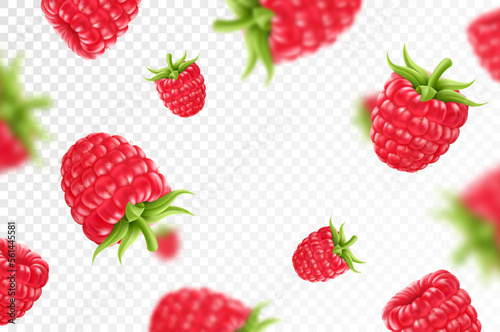 Raspberry background. Flying raspberry with green leaf on transparent background. Raspberry falling from different angles.Focused and blurry objects. 3D realistic vector.