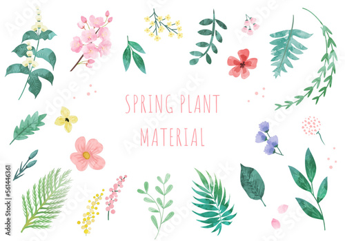 Valokuvatapetti Set of spring plants. Vector illustration.