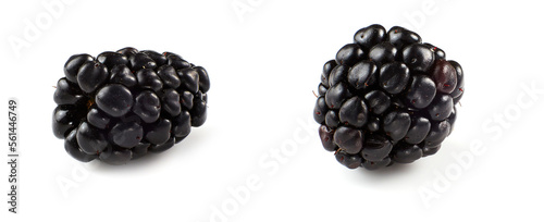 Blackberry, on white background, fruit