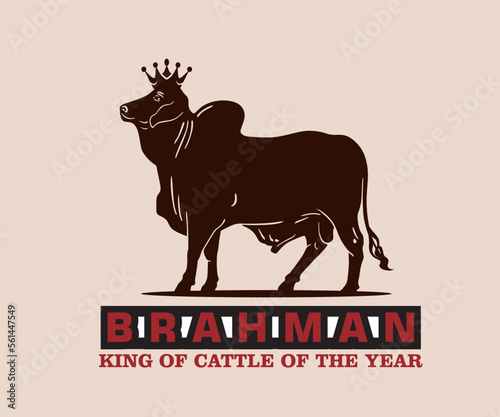 BRAHMAN CATTLE LOGO, silhouette of bull king standing vector illustrations