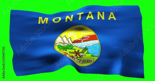 Flag of Montana realistic waving on green screen. Seamless loop animation with high quality