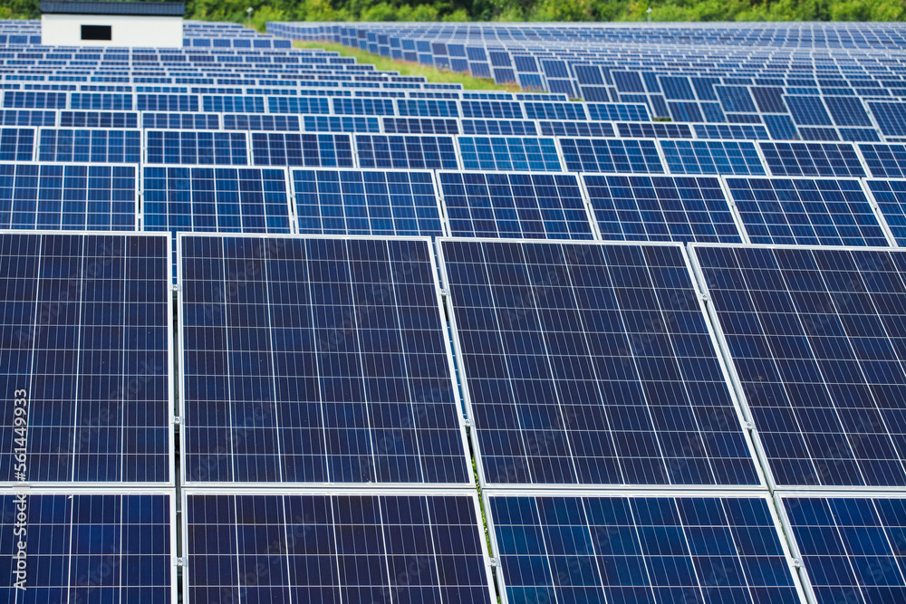 Smooth rows of solar panels on a background of trees Smooth rows of solar panels on a background of trees
