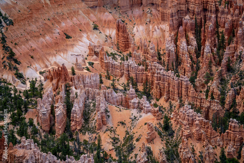 Bryce Canyon erosion layers in dessert trail with green pine trees