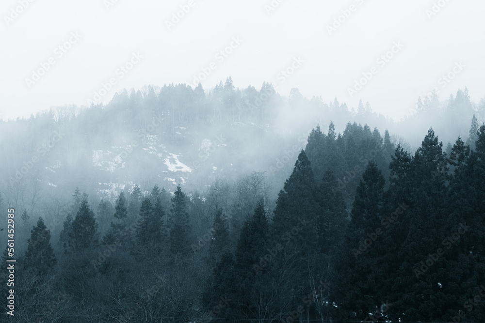 霧深い山