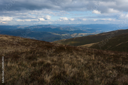 Beautiful view of the carpathian moun landscape with green meadows, trees, dark low clouds on the mountains in the background. travel destinations.