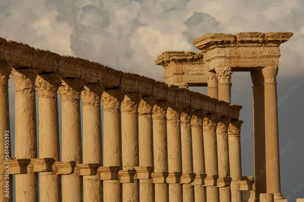 Middle Eastern Column Roman columns leading to the Tetrapylon at the ruined city of Palmyra ...