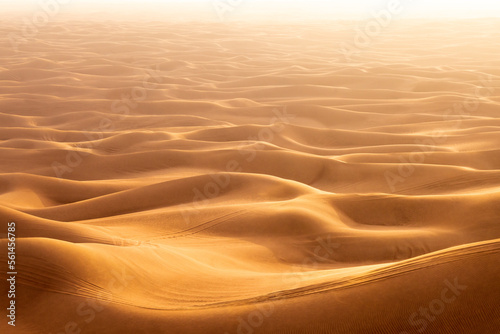 The red deset outside Dubai, with a dune in the foreground and a dunescape extending to the horizon in the background © Roberto