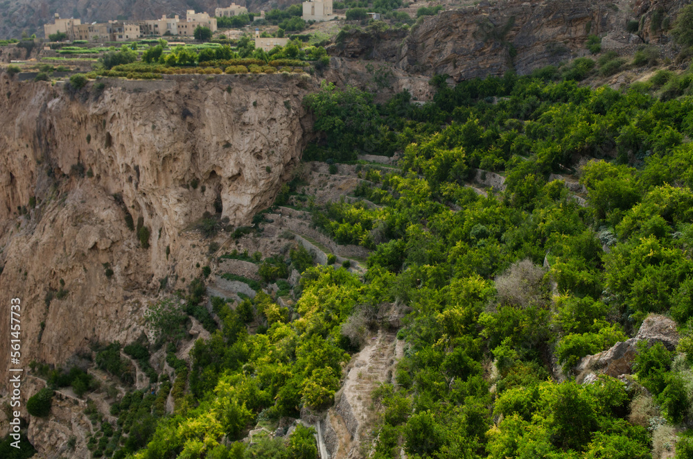 The green mountains called Jebel Akhdar of the Hajar mountain range, the harsh interior of Oman, home of traditional rose harvesting and fruit farming The green mountains called Jebel Akhdar of the Hajar mountain range, the harsh interior of Oman, home of traditional rose harvesting and fruit farming
