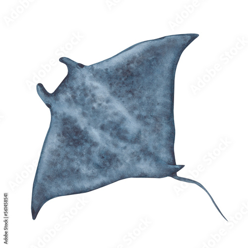 Foto Giant manta ray, sea creature, top view