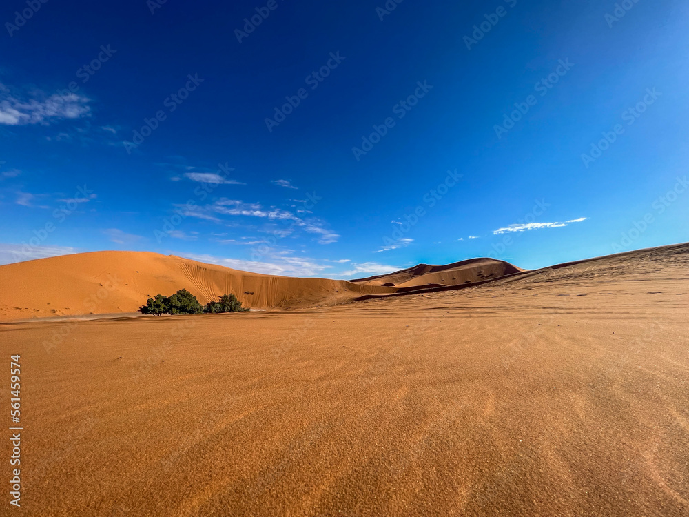 Obraz premium The sahara desert and its sand dunes with a blue sky as a background.