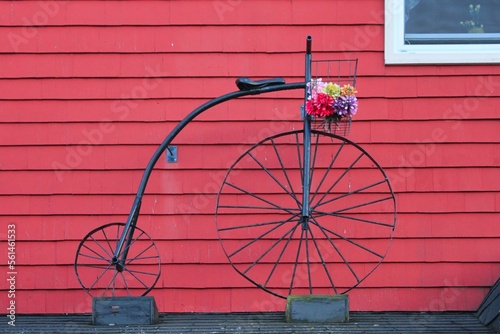 bicycle and flowers
