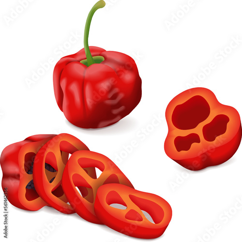 Whole, quarter, slices, and wedges of Rocoto peppers. Locoto peppers. Rocote peppers. Capsicum pubescens. Chili pepper. Vegetables. Vector illustration isolated on white background. photo