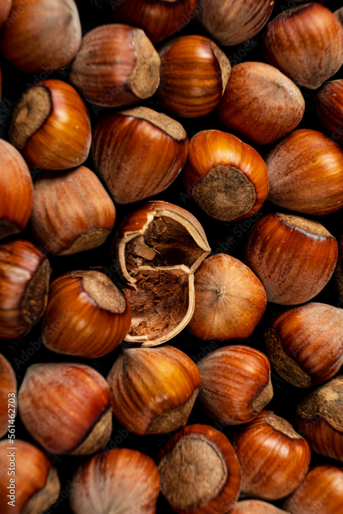 organic hazelnuts on the dark background
