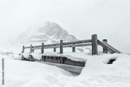 snow covered bridge in winter