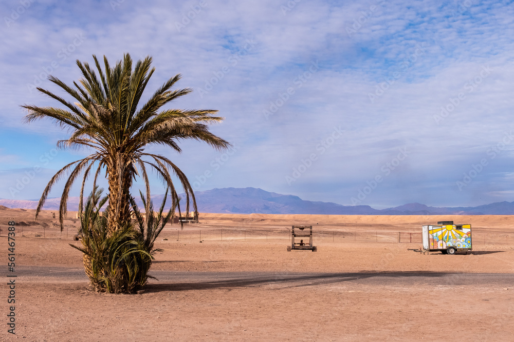 A date palm and abandoned objects in the middle of the hot desert A date palm and abandoned objects in the middle of the hot desert