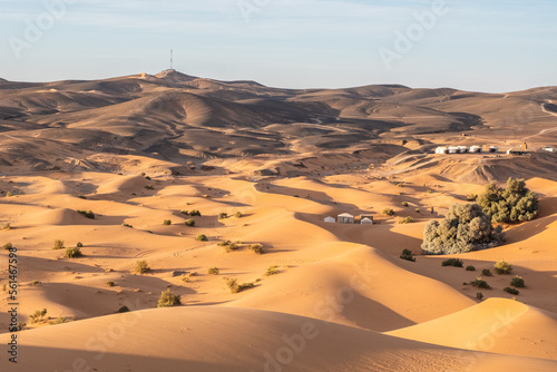 Beautiful sand dunes in the Sahara desert.