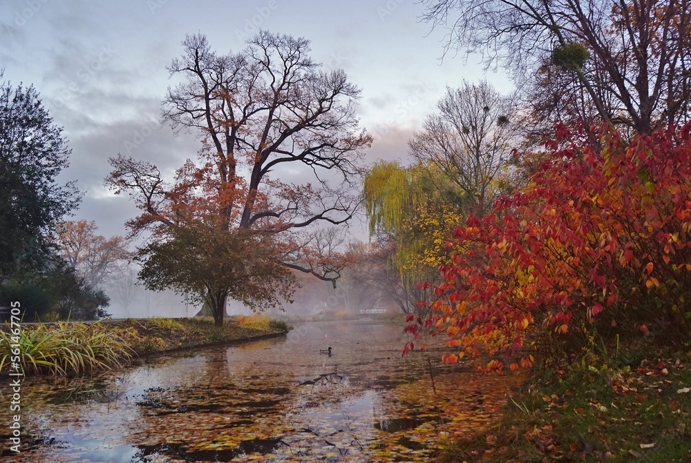 Fototapeta premium Herbst