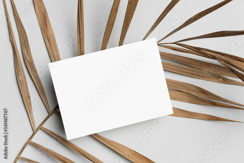 Wedding invitation, flyer or greeting card mockup with palm tree leaf