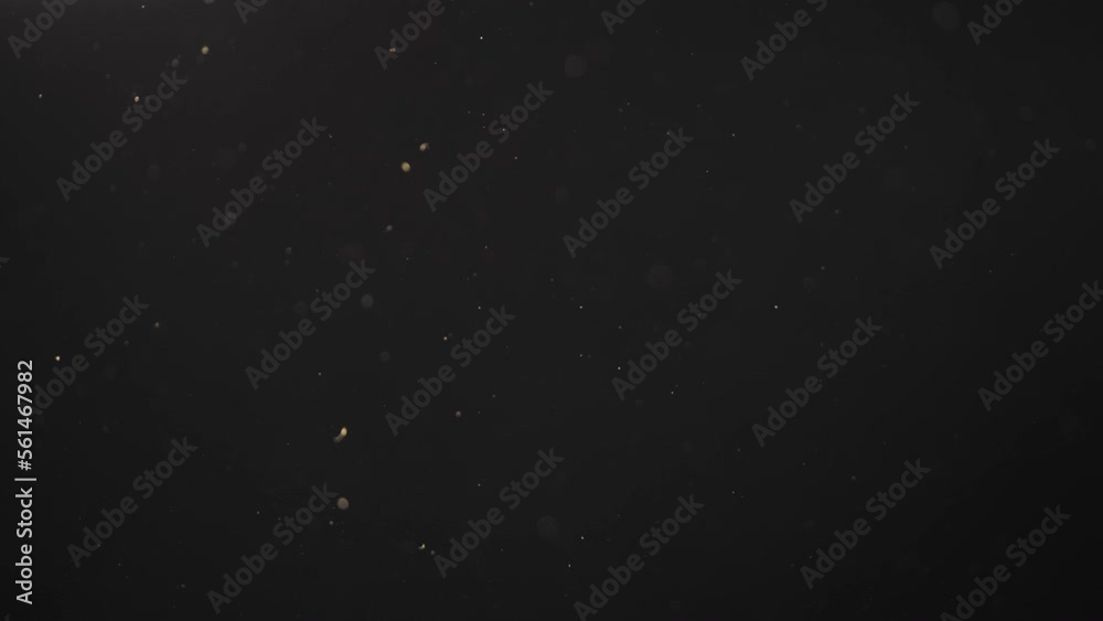 Slow motion shot of real dust particles in air with back light over black background Slow motion shot of real dust particles in air with back light over black background