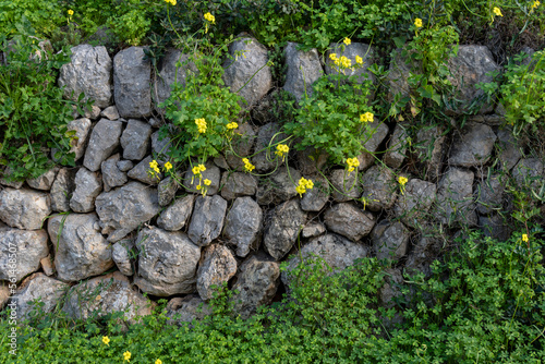Dry stone wall typical of Mallorca photo