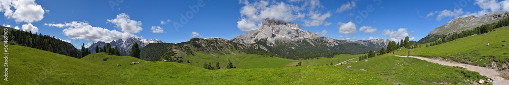 Panorama Bergwiese in den Alpen / Südtirol