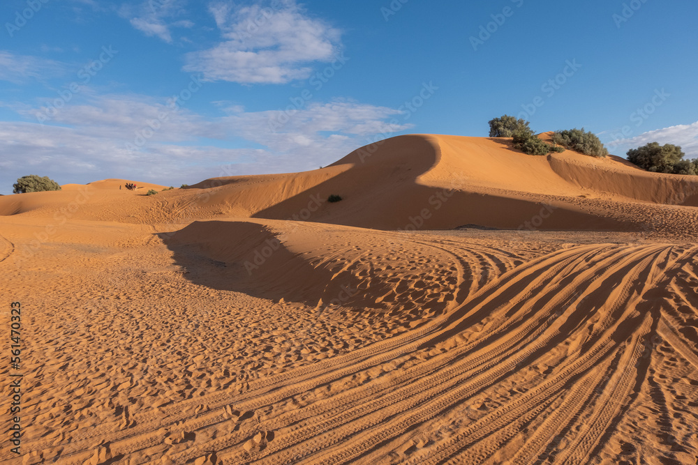 A panoramic view of the vast Sahara desert, with rolling sand dunes,