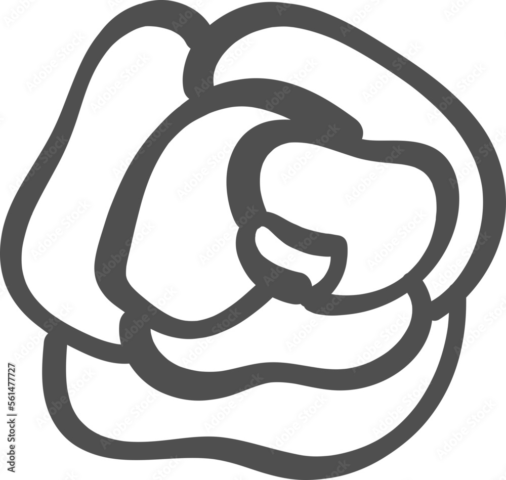 cute doodle Romantic Roses flower outline doodle hand drawing cute doodle Romantic Roses flower outline doodle hand drawing