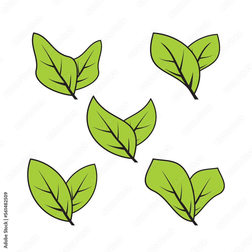 set of green abstract leaf icons, on white background. Vector illustration.