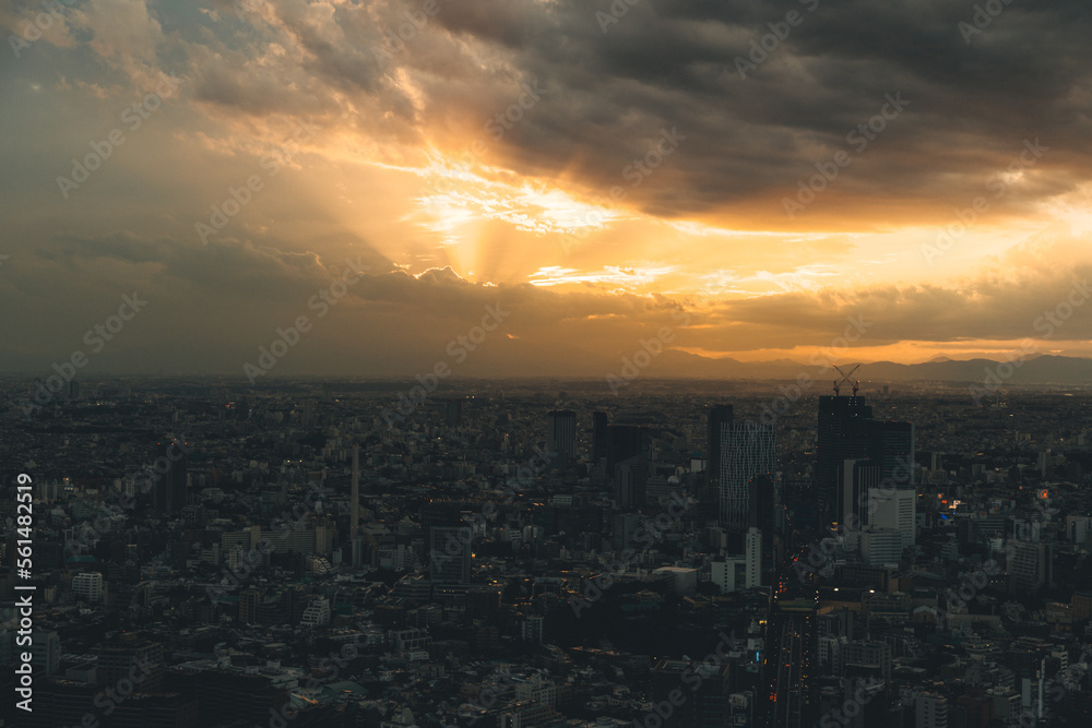Fototapeta premium Tokyo Cityscape Photography