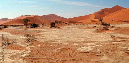 Sossusvlei Dunes  Namib Desert  Namibia