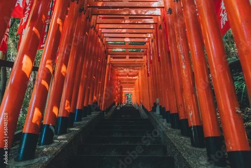 Photography Tokyo Street Photography