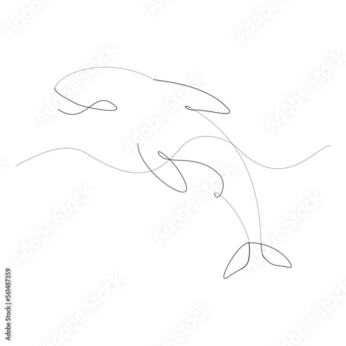 Tattoo illustration of an orca (also known as a killer whale), whale