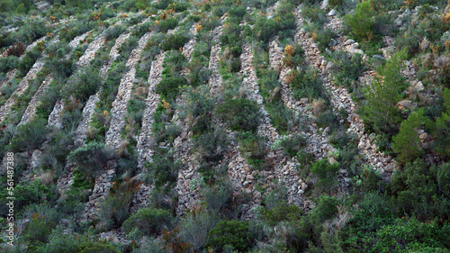 Fotografie Stone terraces in the mountains of Spain, typical stone terraces for olive culti