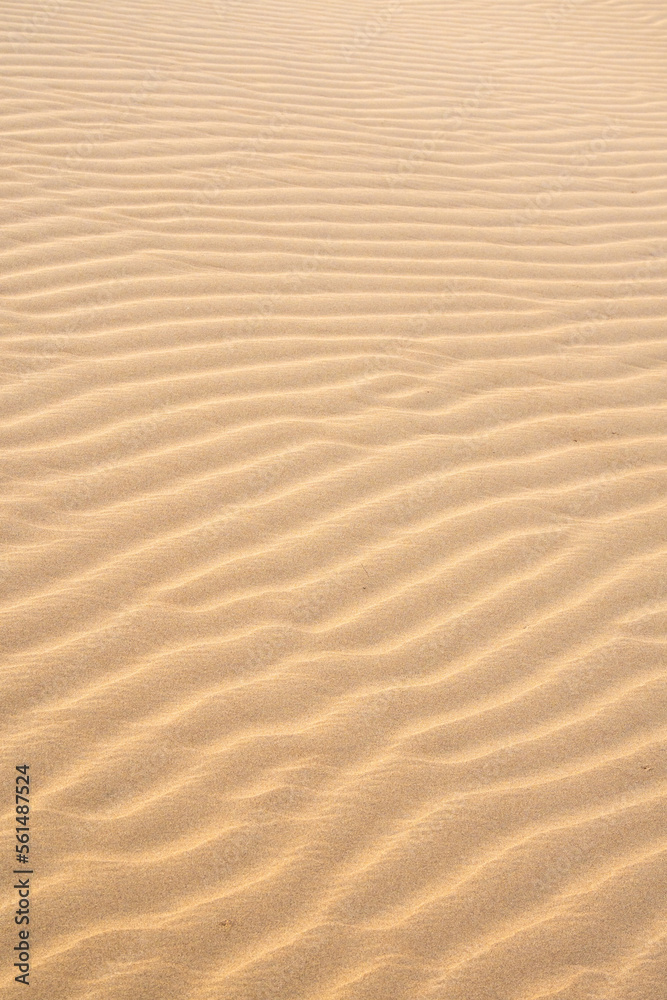 Texture of sand dunes as background top view Texture of sand dunes as background top view