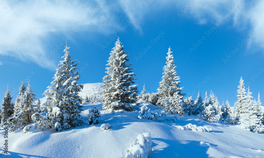 Morning winter mountain landscape with snowy fir trees on slope (Carpathian, Ukraine). Morning winter mountain landscape with snowy fir trees on slope (Carpathian, Ukraine).