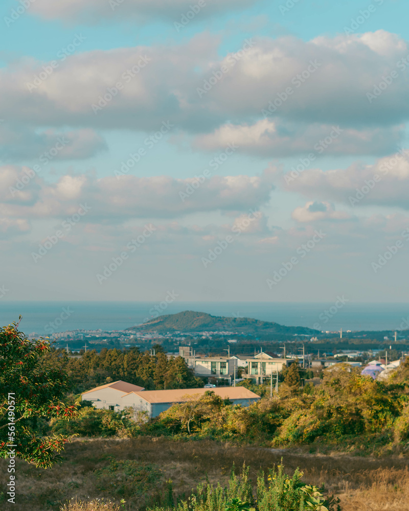 Fototapeta premium Jeju-do Oreum