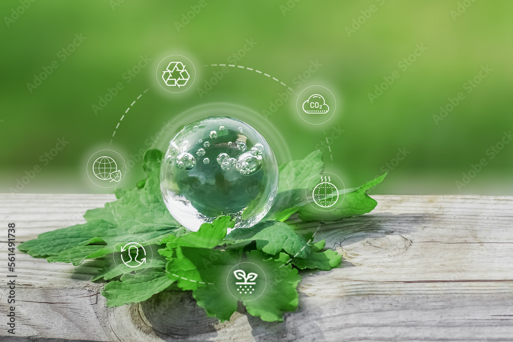 a symbolic glass ball like a globe on green leaves. Ecology. Renewable land resources.Technology ecology concept.