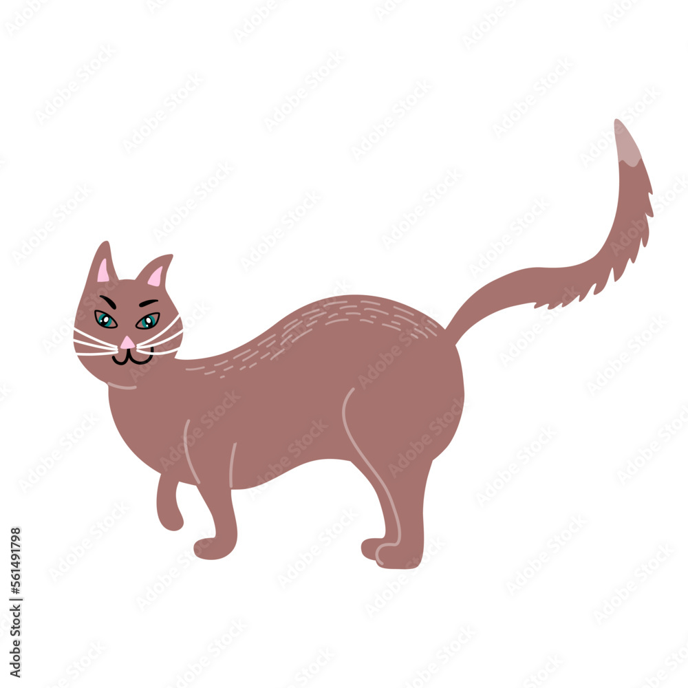 Domestic cat. Active cat life. Animal pose. Hand drawn vector illustration isolated on white.