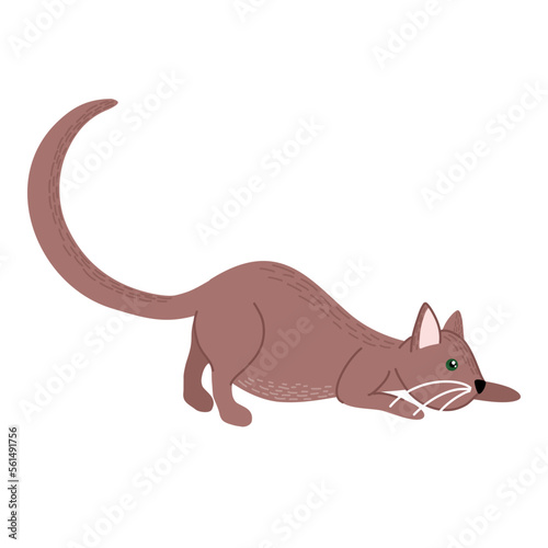 Domestic cat is hunting. Active cat life. Animal pose. Hand drawn vector illustration isolated on white.