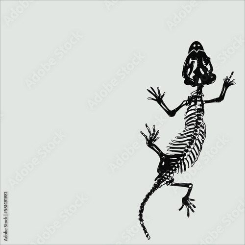 Fotografia Illustration graphic image of skeleton lizard in blank template
