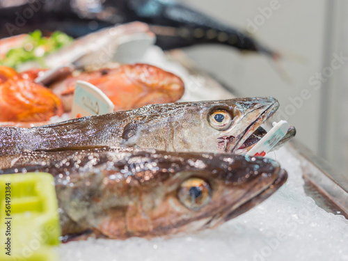 Seafood for sale at fish market
