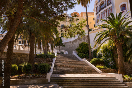 Parc Rochina with stairs and palm trees below Plaza Espanya, Mahon, Menorca, Balearic Islands, Spain