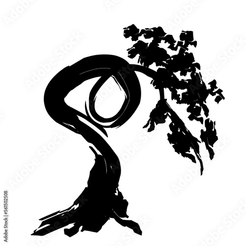 silhouette of a bonsai tree