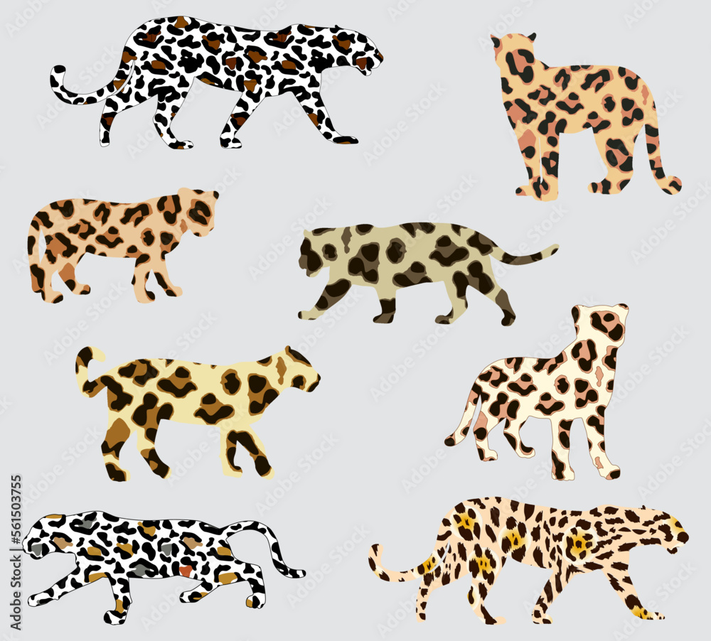 Leopard Patterned Leopard Icon Set