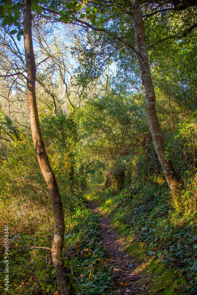 Landscape of kiprianades village in north corfu, Greece Landscape of kiprianades village in north corfu, Greece
