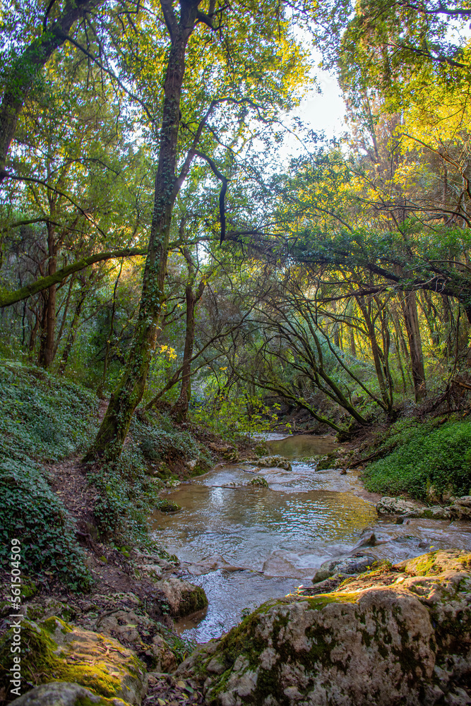 Landscape of kiprianades village in north corfu, Greece Landscape of kiprianades village in north corfu, Greece