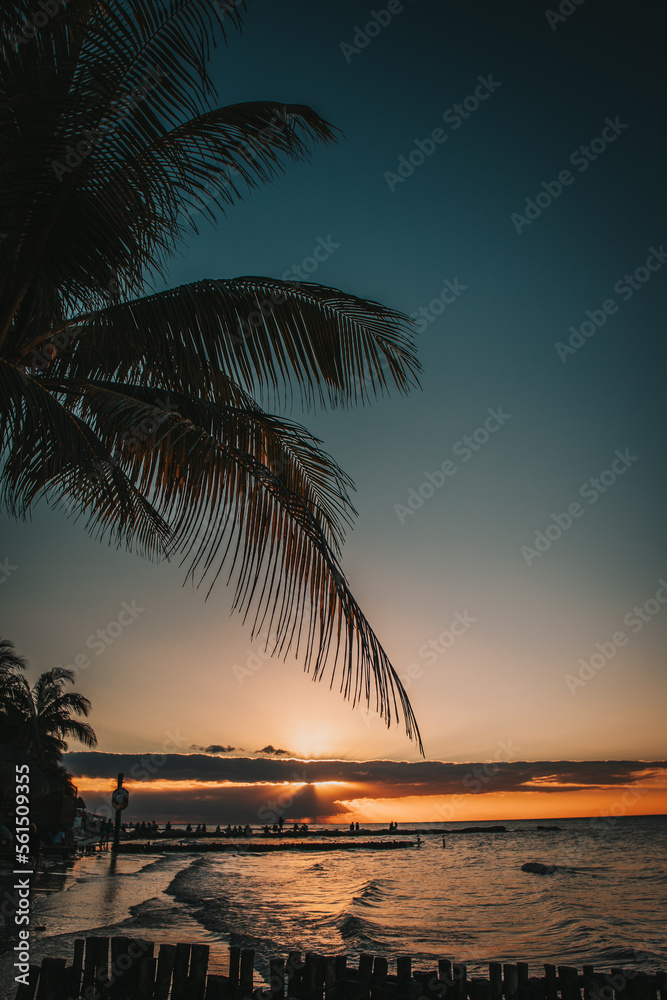 Dark and magical view to ocean with palm trees and orange sunset colours