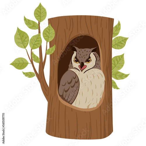 Cartoon owl sitting in oak nest. Tree hollow, forest owl bird sit in woods house, wildlife bird flat vector illustration set on white background