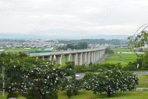 上信越自動車道 平尾高架橋